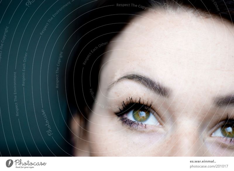 wo ich hinseh. Frau Erwachsene Auge Denken träumen schön grün Hoffnung Glaube Wimperntusche Augenbraue verträumt Blick feminin Blick nach oben Zukunft Farbfoto