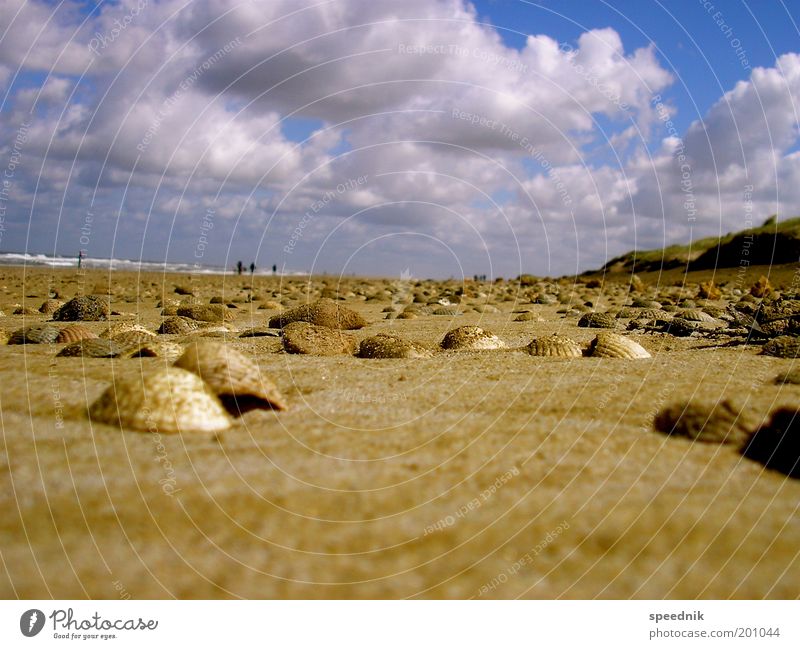 Muschelinflation II Ferien & Urlaub & Reisen Tourismus Ausflug Sommer Sommerurlaub Strand Meer Insel wandern Umwelt Landschaft Erde Sand Wasser Himmel Wolken