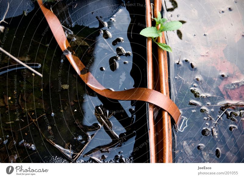 verlassener koffer... dreckig kaputt Koffer Farbfoto Außenaufnahme Menschenleer Tag Kontrast Reflexion & Spiegelung Sonnenlicht Müll Wasseroberfläche