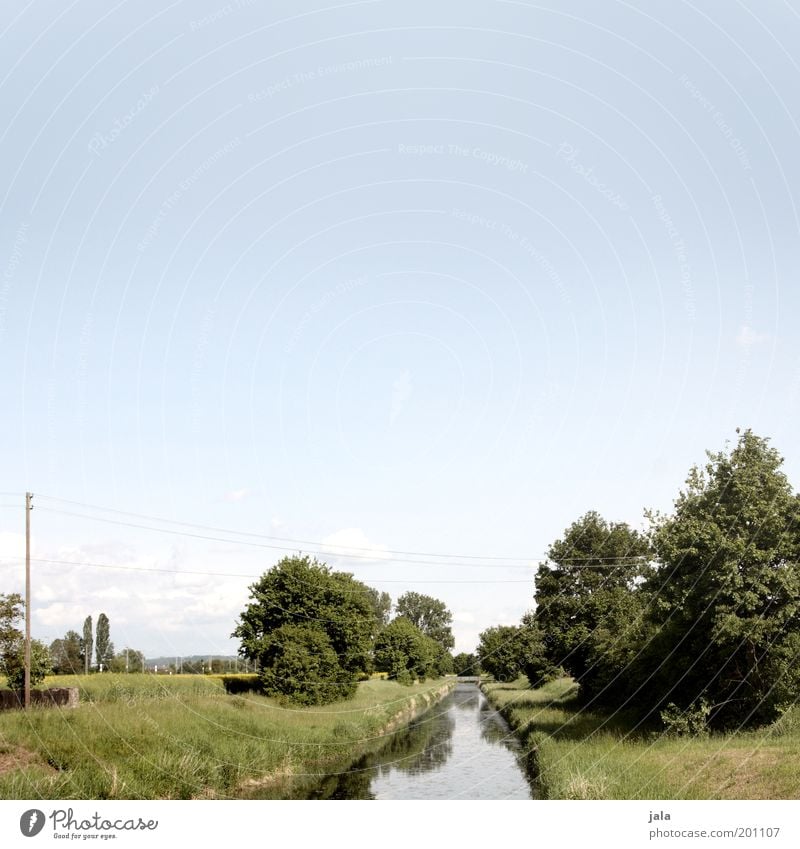 schönwettertag Natur Landschaft Himmel Schönes Wetter Pflanze Baum Gras Grünpflanze Wildpflanze Wiese Bach Frühlingsgefühle Farbfoto Außenaufnahme Menschenleer