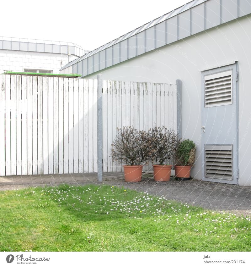 überlebenstraining Sträucher Grünpflanze Topfpflanze Wiese Haus Platz Gebäude Tür Zaun hell grün weiß Farbfoto Außenaufnahme Menschenleer Tag Licht Schatten