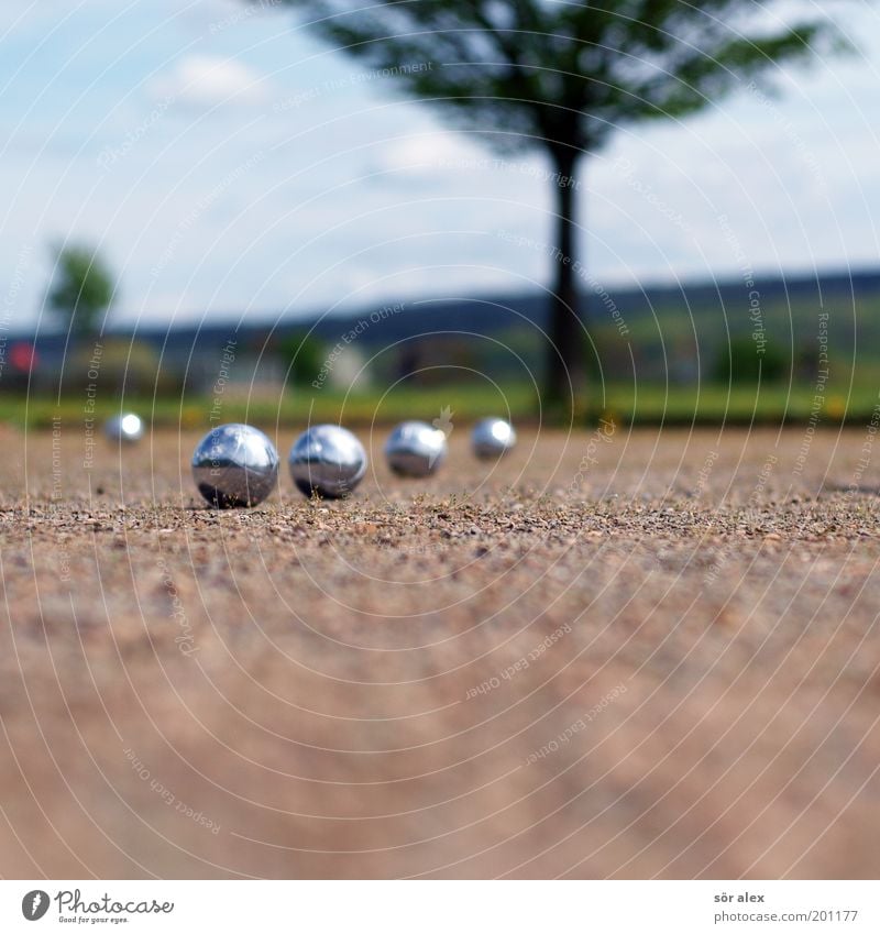 Boule-ACTION Karriere Erfolg Team Sand Sommer Baum Gras Metall Kugel blau braun grün silber ruhig Freizeit & Hobby Textfreiraum unten 4 zielstrebig Unschärfe