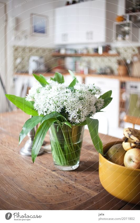 bärlauch Häusliches Leben Wohnung Tisch Küche Schalen & Schüsseln Dekoration & Verzierung Blumenstrauß ästhetisch Duft einfach Freundlichkeit Farbfoto