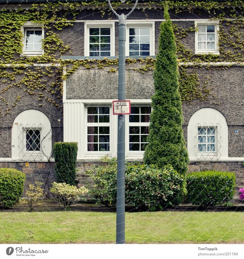 Im Wunderland #2 Haus Efeu Fassade Fassadenbegrünung Fenster Garten Häusliches Leben Heimat Verhext Märchen Nachbar Fensterfront Vorgarten Laterne Laternenpfahl