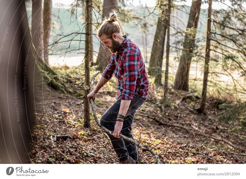 sammeln maskulin Junger Mann Jugendliche Erwachsene 1 Mensch 18-30 Jahre 30-45 Jahre Umwelt Natur Sommer Wald Coolness einzigartig nachhaltig natürlich Hipster