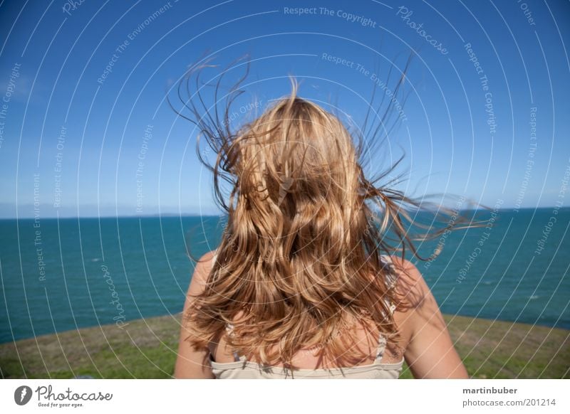 Freiheit Freude Zufriedenheit Erholung Meditation Ferien & Urlaub & Reisen Ferne Meer feminin Haare & Frisuren Wolkenloser Himmel Horizont Wind blond langhaarig