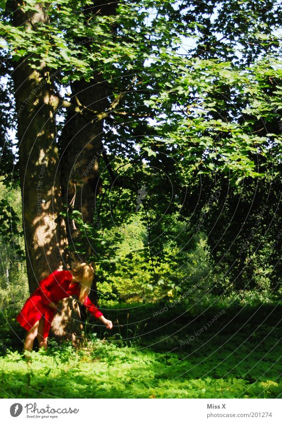 seltene Gattung: die rote Waldläuferin Erholung ruhig Ausflug Mensch Junge Frau Jugendliche 1 18-30 Jahre Erwachsene Natur Frühling Sommer Herbst Schönes Wetter