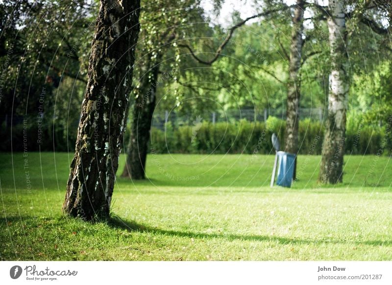 Freibadwetter Erholung ruhig Ferien & Urlaub & Reisen Sommer Schönes Wetter Pflanze Baum Gras Sträucher Park Wiese Wärme Zufriedenheit Idylle Müllbehälter