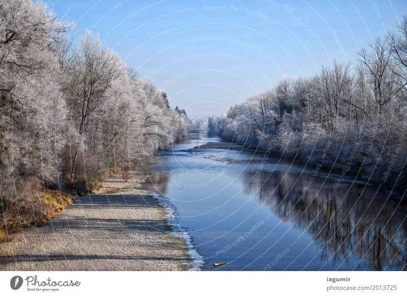 Fluss an einem kalten Wintertag Natur Landschaft Wasser Himmel Schönes Wetter Baum Wald Flussufer Sonnental St. Gallen Schweiz Europa Gelassenheit Verzweiflung