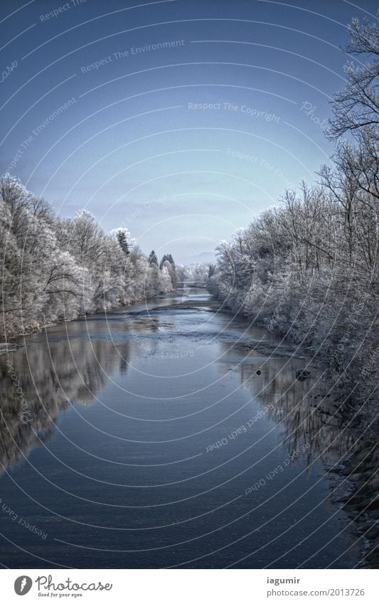 Stiller Fluss im Winterschlaf Landschaft Wasser Himmel Eis Frost Baum Flussufer Sonnental St. Gallen Schweiz Europa ästhetisch Coolness frisch schön kalt