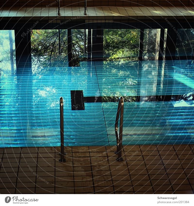 dive in and find out Wellness Erholung ruhig Kur Spa Sport Wassersport Sportstätten Schwimmbad Flüssigkeit frisch blau grün Stimmung rein stagnierend Farbfoto