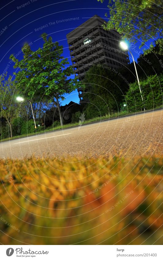 Der Letzte macht das Licht aus Haus Natur Pflanze Wolkenloser Himmel Baum Gras Kiel Hochhaus Bauwerk Gebäude Architektur Verkehrswege Straße blau mehrfarbig