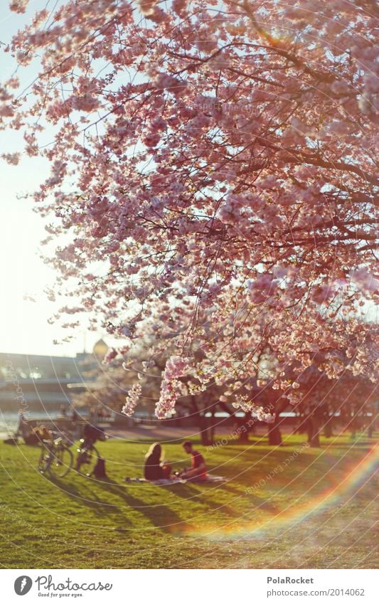 #AS# Einfach Draußen Natur ästhetisch Dresden Blühend Blühende Landschaften Außenaufnahme Frühling Frühlingsgefühle Frühlingstag Frühlingsfarbe Frühlingsfest