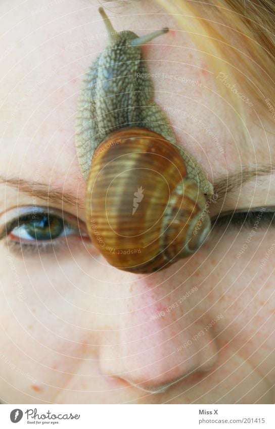 Escargot Junge Frau Jugendliche Gesicht Auge 1 Mensch Tier Wildtier Schnecke schleimig verrückt Ekel bizarr Mutprobe Farbfoto mehrfarbig Außenaufnahme