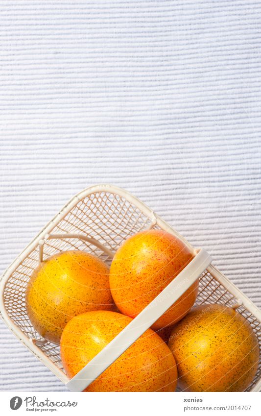 Ostereier im weissen Körbchen Ei Ernährung Ostern Metall gelb orange weiß Korb 4 Hintergrundbild Farbfoto Studioaufnahme Textfreiraum oben Vogelperspektive