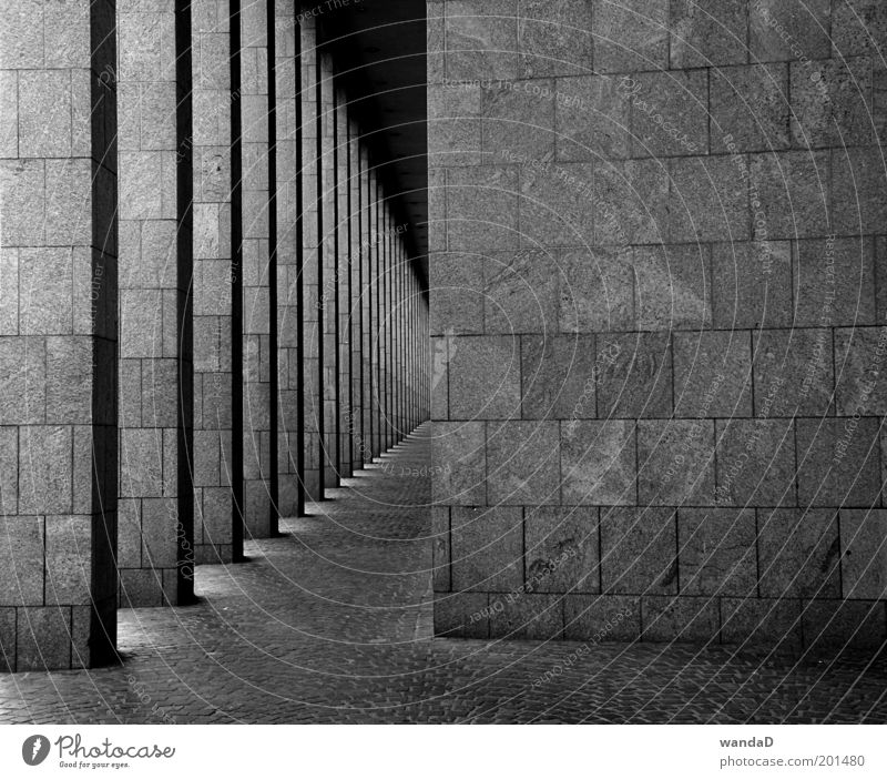 ________________ elegant Stil Design Haus Kunst Kunstwerk Skulptur Sonnenlicht Menschenleer Bankgebäude Bauwerk Architektur Mauer Wand Stein Beton ästhetisch