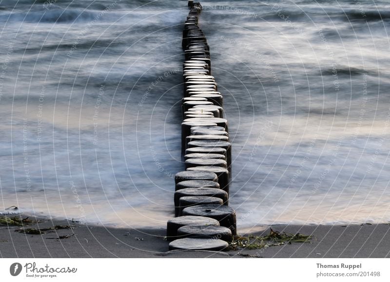 Geteilt Strand Meer Wellen Umwelt Natur Landschaft Wasser Küste Ostsee Sand Holz Brandung Deutschland Europa einfach natürlich schön stark blau grau Stimmung