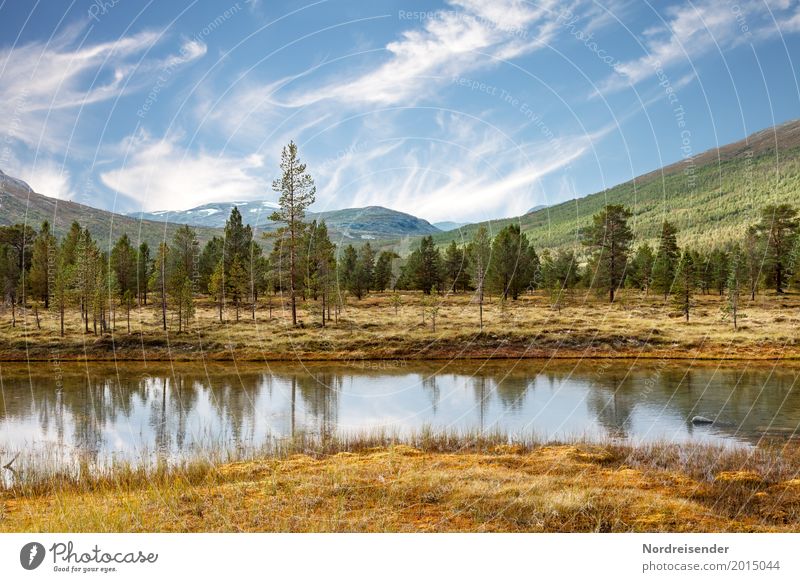 Wildnis Ferien & Urlaub & Reisen Abenteuer Freiheit Berge u. Gebirge wandern Natur Landschaft Wasser Himmel Wolken Schönes Wetter Baum Gras Wiese Wald Seeufer