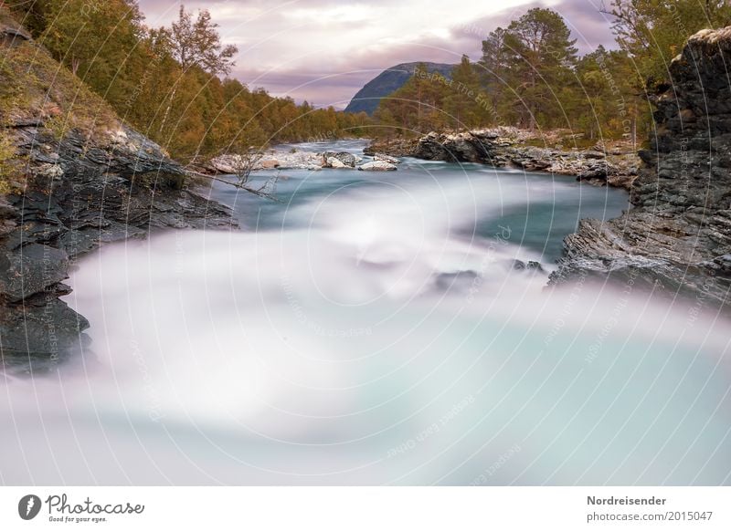 Lauf der Zeit Ferien & Urlaub & Reisen Abenteuer Ferne Berge u. Gebirge Natur Landschaft Urelemente Wasser Wolken Baum Wald Felsen Flussufer exotisch