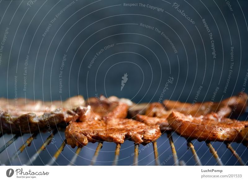 Haute Cuisine Ernährung Fleisch Steak Grillsaison Grillen Grillrost Rauch Duft Geruch gebraten saftig Fett ungesund Fleischgerichte Sommer Garten zart lecker