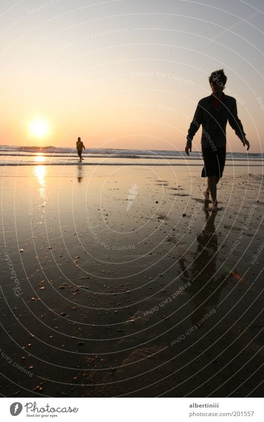 walking on the beach Mensch maskulin Mann Erwachsene 2 18-30 Jahre Jugendliche Theaterschauspiel Umwelt Natur Landschaft Wasser Wolkenloser Himmel Horizont