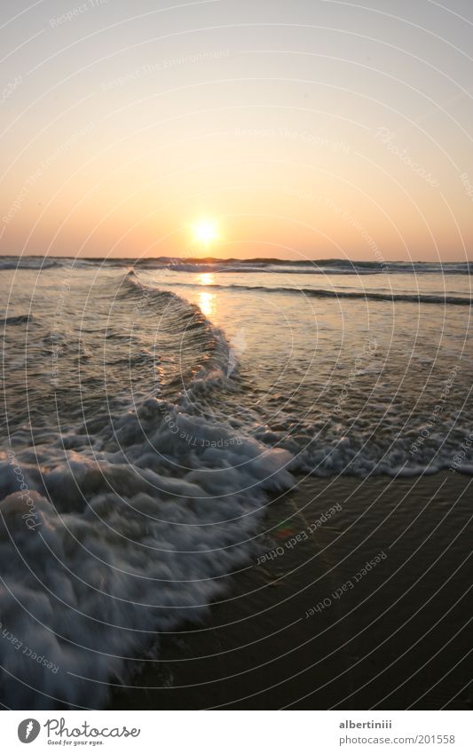 Wasserspiel Umwelt Natur Landschaft Urelemente Himmel Wolkenloser Himmel Sonnenaufgang Sonnenuntergang Sonnenlicht Sommer Schönes Wetter Wellen Küste