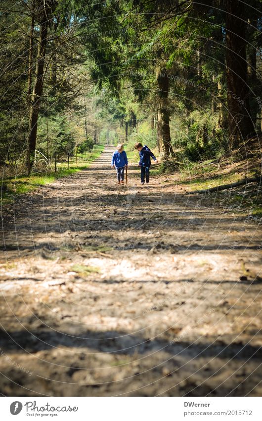 Waldspaziergang II Glück Freizeit & Hobby Ferien & Urlaub & Reisen Tourismus Ausflug Abenteuer Freiheit Junge 2 Mensch Umwelt Natur Landschaft Pflanze Frühling