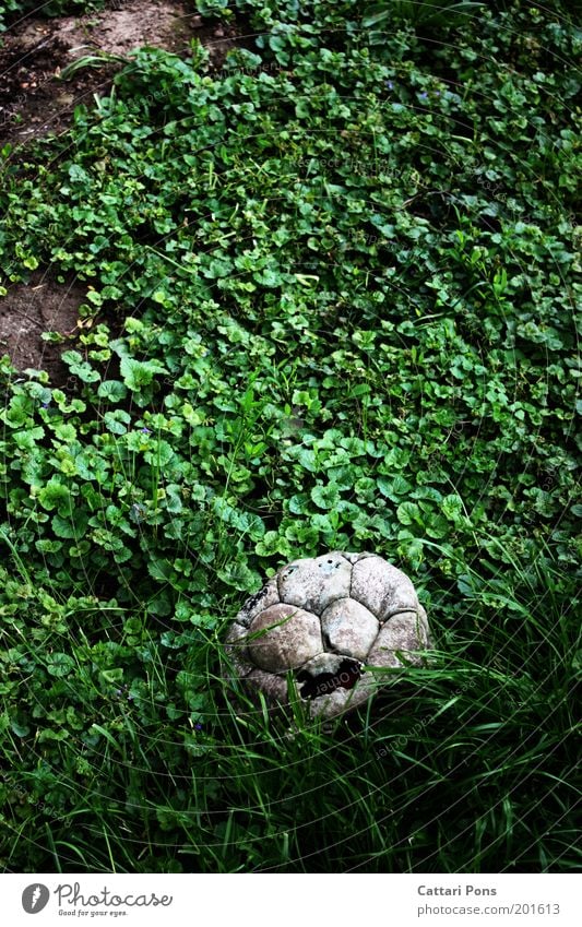 abgenutzt Freizeit & Hobby Fußball Ball Natur warten alt Armut dreckig gruselig hässlich kaputt rund grau weiß Ende Kindheit stagnierend Spielzeug vergessen