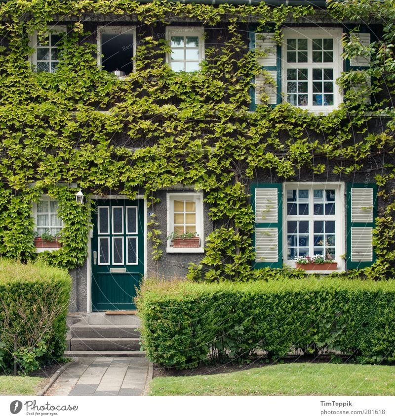 Im Wunderland #3 Haus grün Efeu Fassade Fassadenbegrünung Fenster Garten Häusliches Leben Heimat Verhext Märchen Fensterfront Vorgarten Fensterladen lieblich