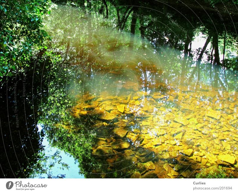 Märchenwelt Ferien & Urlaub & Reisen Natur Landschaft Wasser Sonnenlicht Frühling Sommer Herbst Baum Sträucher Blatt Grünpflanze Wildpflanze Flussufer Stein