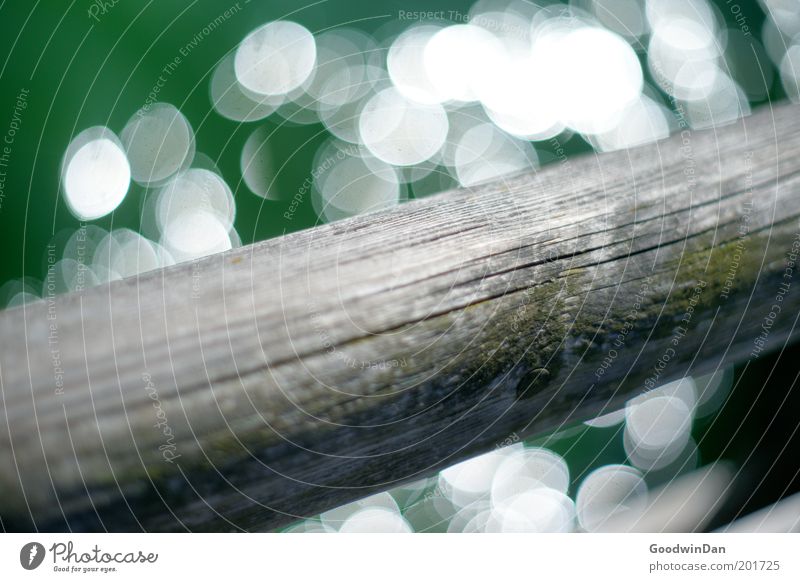 "Doch glaub mir, das Wasser glitzert" III Umwelt Natur Urelemente Klima Wetter See Steg Holz schön trocken Farbfoto Außenaufnahme Menschenleer Tag