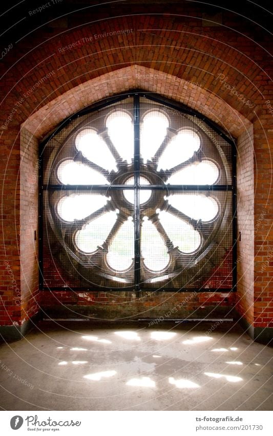 Rosette Kultur Bremen Kirche Dom Gebäude Kathedrale Strebe Kirchenfenster Fenster Stein Metall Backstein Symmetrie rot weiß schön friedlich Christliches Kreuz