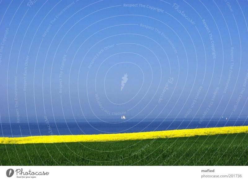 Da leben, wo andere Urlaub machen Ferien & Urlaub & Reisen Tourismus Sommerurlaub Segeln Natur Landschaft Pflanze Himmel Wolkenloser Himmel Horizont Frühling