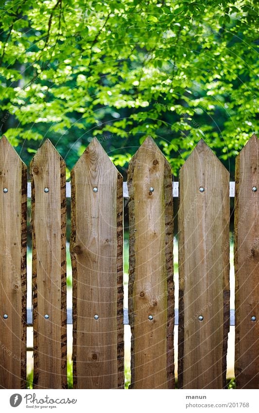 Abstandshalter Häusliches Leben Umwelt Natur Baum Blatt Garten Park Zaun Holz bedrohlich Idylle Kontrolle Ordnung Sicherheit Sorge Umweltschutz Verbote Grenze