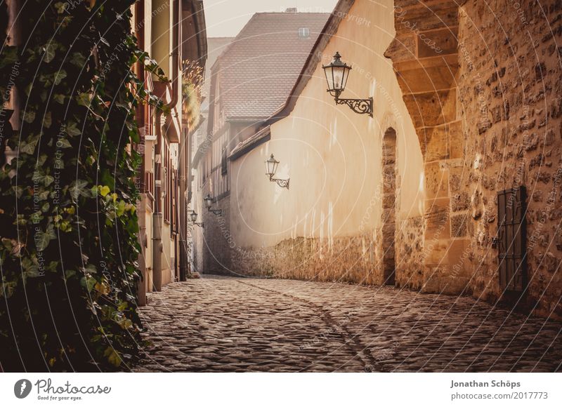 Augustinerkloster Erfurt II Altstadt Außenaufnahme Boden Durchblick Efeu Farbfoto Gasse Kopfsteinpflaster Laterne Straßenbeleuchtung Wege & Pfade Fußweg Stein