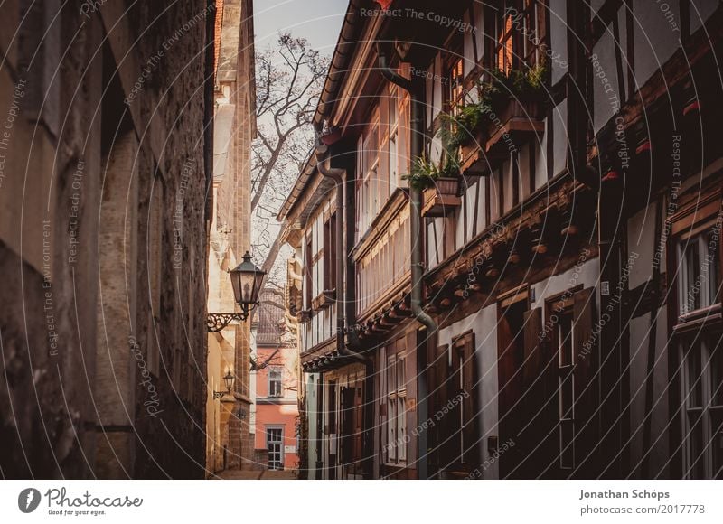 Augustinerkloster Erfurt IV Altstadt Außenaufnahme Durchblick Farbfoto Gasse Laterne Straßenbeleuchtung Wege & Pfade Fußweg Stein Steinmauer Thüringen Winter