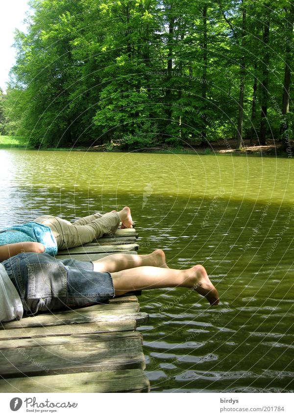 Kaulquappen schnappen Spielen Sommer Kindheit Beine Fuß 2 Mensch Natur Wasser Sonnenlicht Wald Seeufer liegen Zusammensein Glück natürlich Leben Neugier