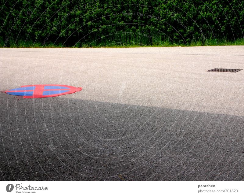 Parken verboten zeichen aufgemalt auf die straße. Schatten Pflanze Sträucher Verkehrswege Straße Verkehrszeichen Verkehrsschild Zeichen Schilder & Markierungen