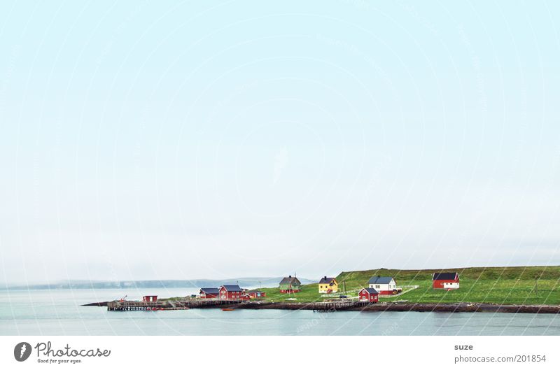 Ausläufer ruhig Ferien & Urlaub & Reisen Ferne Freiheit Meer Häusliches Leben Haus Umwelt Natur Landschaft Urelemente Himmel Wolkenloser Himmel Sommer Wiese