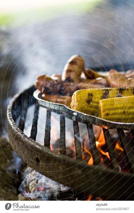 Mahlzeit Grillrost heiß Grillen Maiskolben Wurstwaren Rauchwolke Feuer Fleisch Grillsaison Grillkohle Sommer Abendessen Lebensmittel Ernährung Appetit & Hunger