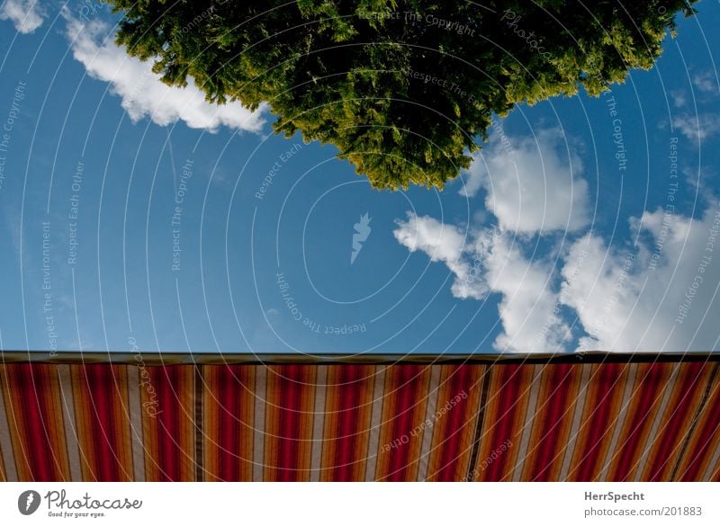 Liegestuhlperspektive Markise Himmel Wolken Frühling Sommer Baum blau mehrfarbig grün weiß sommerlich Garten Freizeit & Hobby gestreift Farbfoto Außenaufnahme