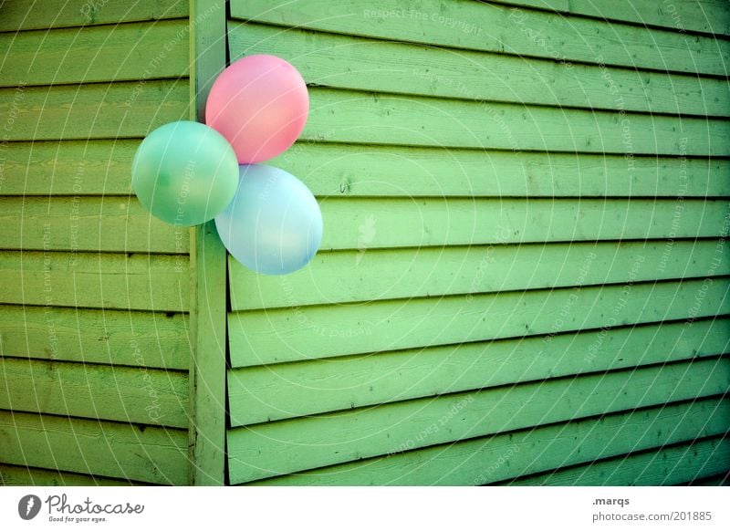 Kindergeburtstag Freude Glück Party Veranstaltung Feste & Feiern Jubiläum Mauer Wand Luftballon Holz Linie hängen positiv blau grün rosa Gefühle Fröhlichkeit