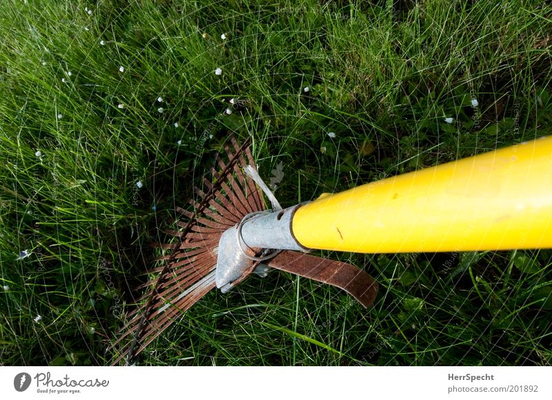 Rasen kämmen Gras Garten Metall Rost Kunststoff gelb grün Gartenarbeit Gartengeräte Rechen Farbfoto Außenaufnahme Nahaufnahme Detailaufnahme Textfreiraum links