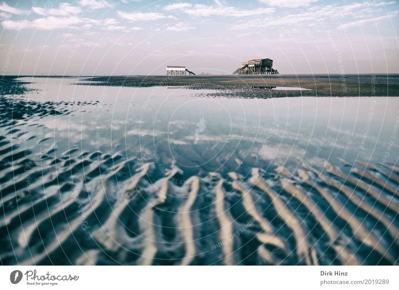 Warten im Watt Erholung Kur Ferien & Urlaub & Reisen Sonne Strand Meer Umwelt Natur Sand Schönes Wetter Küste Nordsee maritim Kurort Nordfriesland