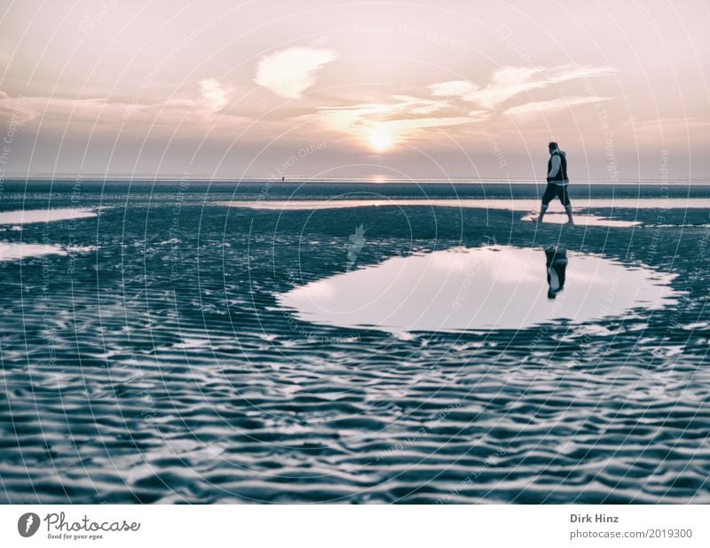 Schlickrutscher Erholung Kur Ferien & Urlaub & Reisen Sonne Strand Meer Umwelt Natur Sand Schönes Wetter Küste Nordsee Tourismus Umweltschutz Kurort