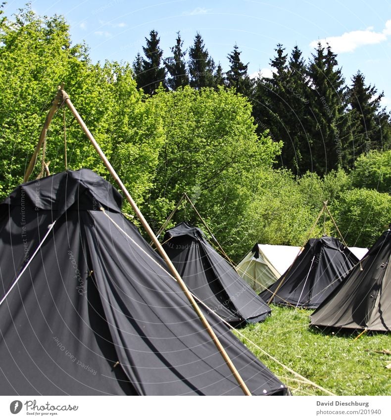 Pfadfinderlager Ferien & Urlaub & Reisen Abenteuer Umwelt Natur Landschaft Himmel Frühling Sommer Schönes Wetter Pflanze Baum Gras Sträucher Wiese Wald blau