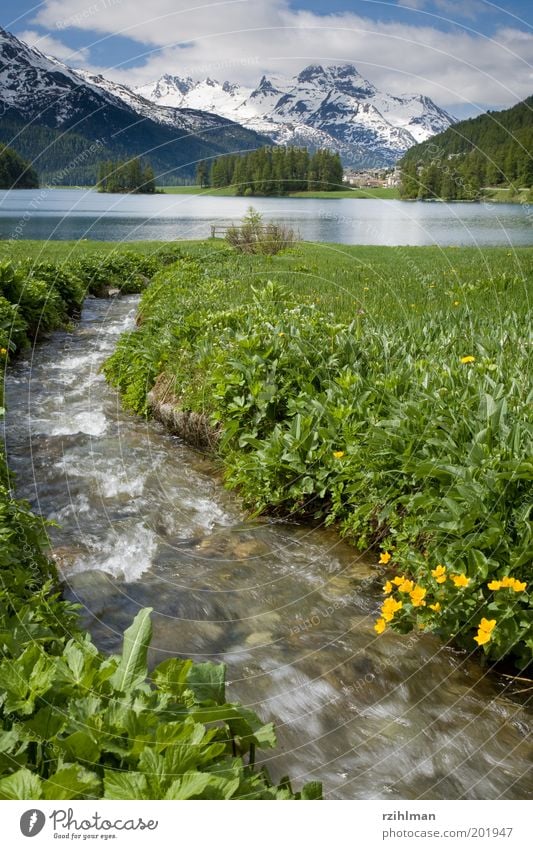 Am Champferersee Berge u. Gebirge Natur Landschaft Frühling Felsen Alpen See Bach Fluss Aquagliöls Kanton Graubünden Engadin Europa Hochformat Oberengadin