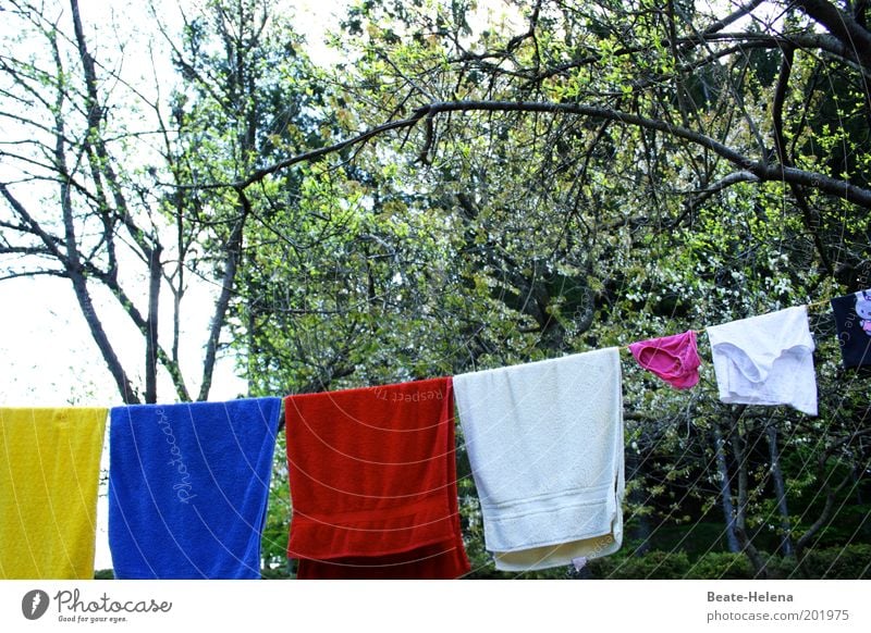 schnell frisch gemacht! Garten Natur Luft Schönes Wetter Baum Reinigen Sauberkeit Zufriedenheit Reinlichkeit Reinheit ästhetisch Duft Umwelt Farbfoto mehrfarbig