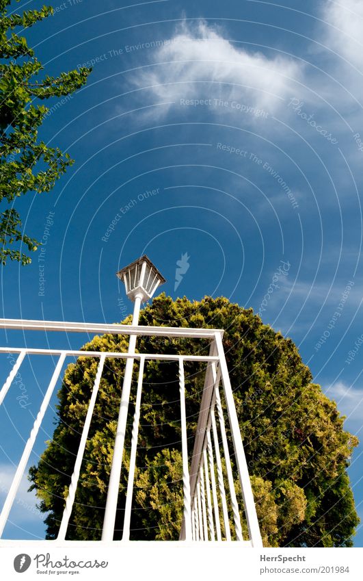 Frisch gestrichen - Sommer kann kommen Himmel Wolken Frühling Baum Terrasse Geländer Laterne Laternenpfahl Metall blau grün weiß Frühlingsgefühle Schönes Wetter