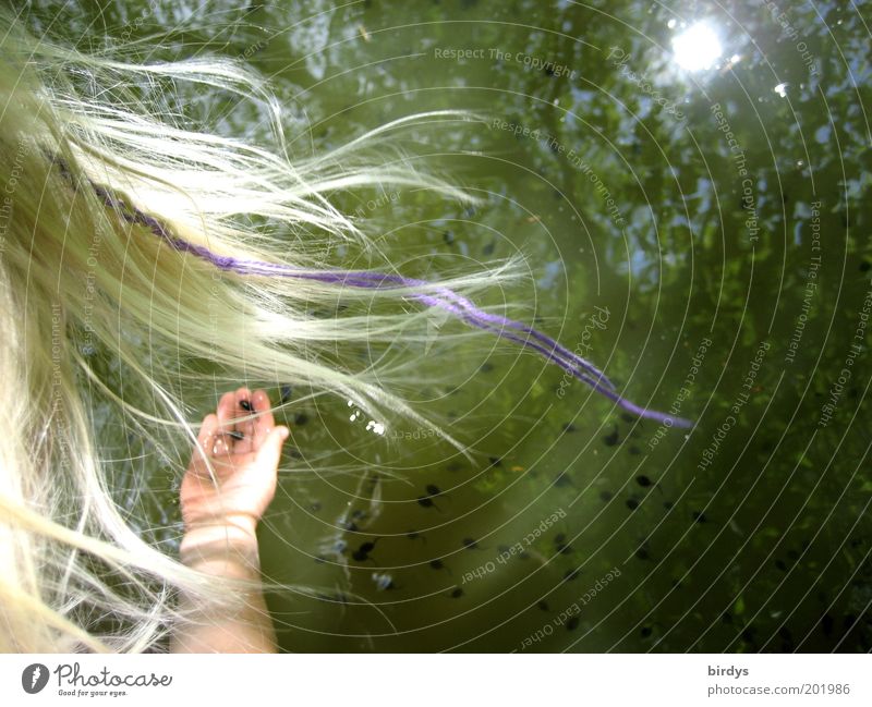 Komm spiel mit mir Spielen feminin Kindheit Haare & Frisuren Hand Tier Wasser Sommer Seeufer entdecken fangen blond Fröhlichkeit frisch niedlich Lebensfreude